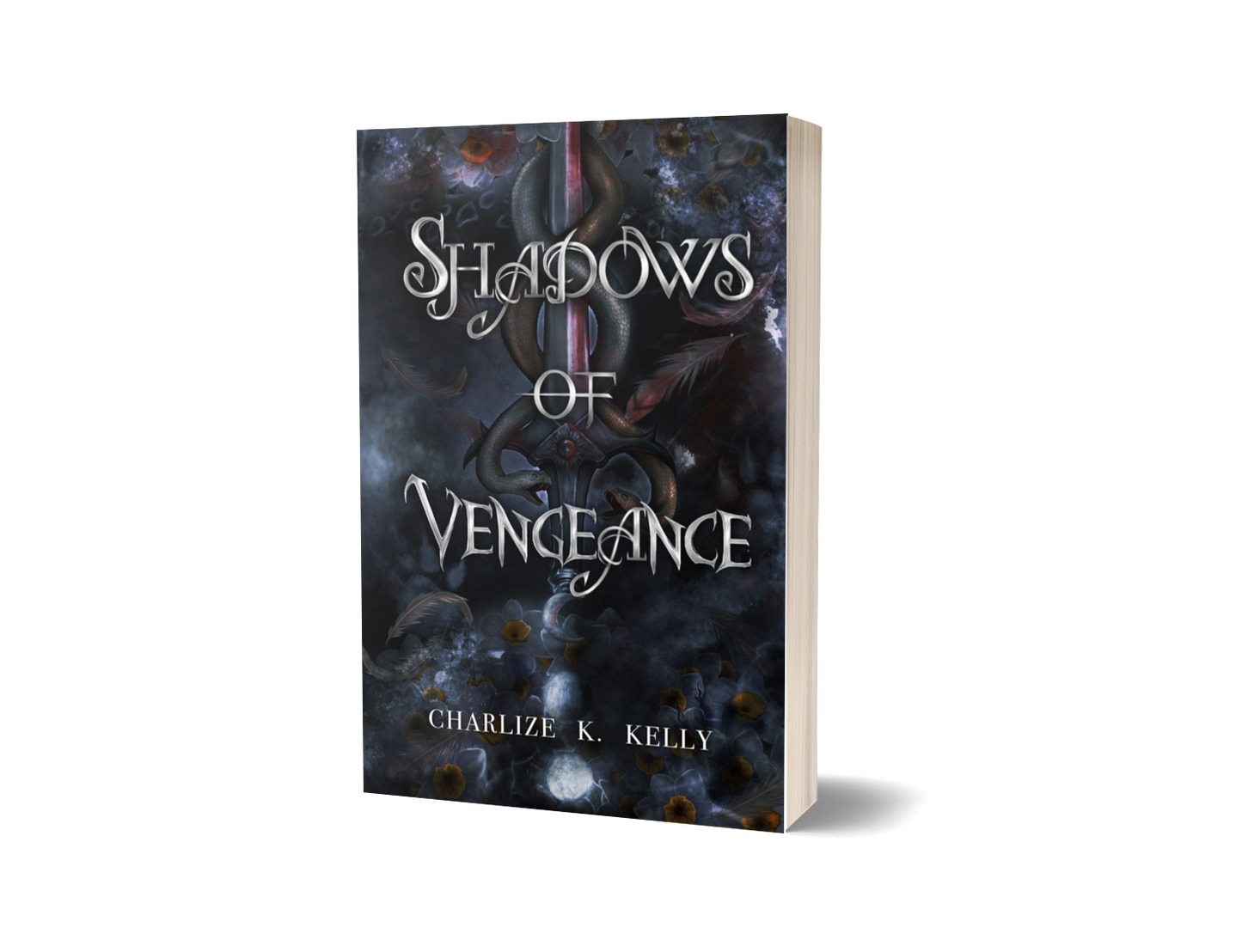 Shadows of Vengeance - Paperback